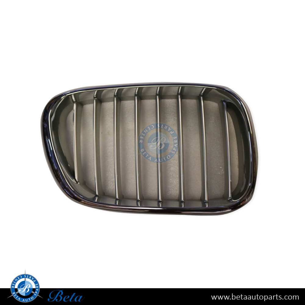 Right Side Radiator Grille - Chrome Titanium for BMW X5 E53 LCI 2000-2006 models, Part Number 51138250052 Right Side Radiator Grille - Chrome Titanium for BMW X5 E53 LCI 2000-2006 models, Part Number 51138250052